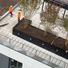 Enhanced Density and Durability